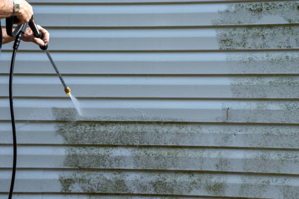 Best Historical Building Siding Restoration  in Drain, OR