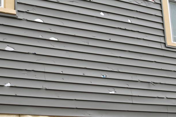 Siding for New Construction in Drain, OR