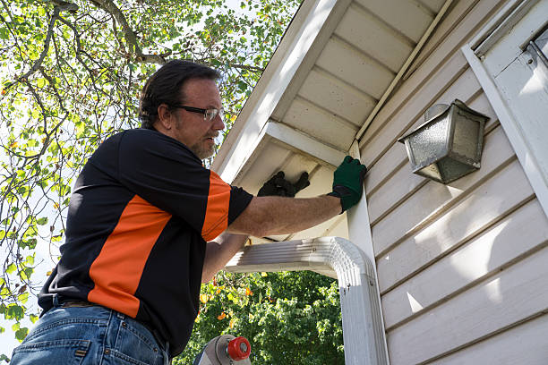 Historical Building Siding Restoration in Drain, OR